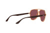 Occhiali da Sole Ray-Ban RB 4376 (66025Q)