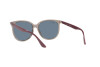 Occhiali da Sole Ray-Ban RB 4378 (65722V)