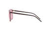 Sunglasses Ray-Ban Evolve RB 4387 (6574Q3)