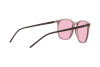 Sunglasses Ray-Ban Evolve RB 4387 (6574Q3)