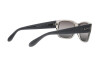 Occhiali da Sole Ray-Ban RB 4388 (6647G3)