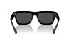 Солнцезащитные очки Ray-Ban Warren RB 4396 (667787)