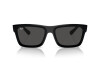 Солнцезащитные очки Ray-Ban Warren RB 4396 (667787)