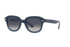 Lunettes de soleil Ray-Ban Erik RB 4398 (667678)