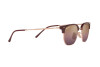 Sunglasses Ray-Ban New Clubmaster RB 4416 (6654G9)
