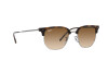 Sunglasses Ray-Ban New Clubmaster RB 4416 (710/51)