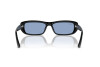 Sunglasses Ray-Ban RB 4436D (667772)