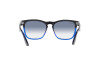 Sunglasses Ray-Ban Steve RB 4487 (663219)