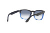 Sunglasses Ray-Ban Steve RB 4487 (663219)