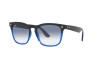 Sunglasses Ray-Ban Steve RB 4487 (663219)