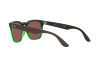 Occhiali da Sole Ray-Ban Steve RB 4487 (663469)