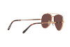 Occhiali da Sole Ray-Ban Aviator Titanium RB 8225 (3140AF)