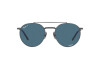 Sunglasses Ray-Ban Round II Titanium RB 8237 (3142S2)