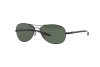 Sunglasses Ray-Ban RB 8301 (002)