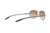 Sonnenbrille Ray-Ban RB 8301 (004/51)