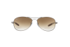 Солнцезащитные очки Ray-Ban RB 8301 (004/51)