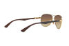 Sunglasses Ray-Ban Carbon  Fibre RB 8313 (001/51)