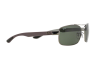 Sunglasses Ray-Ban RB 8316 (004)