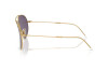 Sunglasses Ray-Ban Aviator Reverse RB R0101S (001/1A)