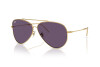 Sunglasses Ray-Ban Aviator Reverse RB R0101S (001/1A)