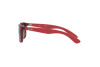 Lunettes de soleil  RJ 9062S (707787)