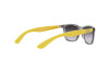 Lunettes de soleil  RJ 9062S (70788G)