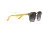Sunglasses  RJ 9070S (70788G)