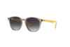 Sunglasses  RJ 9070S (70788G)