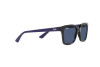 Lunettes de soleil Ray-Ban RJ 9071S (712080)