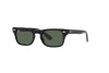 Occhiali da Sole Ray-Ban Burbank Jr RJ 9083S (100/71)