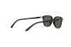 Sunglasses Ray-Ban Leonard Jr RJ 9093S (100/71)