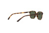 Sunglasses Ray-Ban Leonard Jr RJ 9093S (152/71)