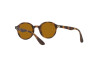 Lunettes de soleil  RJ 9161S (7088/3)