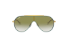 Occhiali da Sole Ray-Ban Junior RJ 9546S (275/W0)