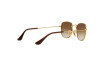 Lunettes de soleil Ray-Ban Junior Frank RJ 9557S (223/13)