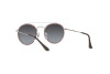 Sunglasses Ray-Ban RJ 9647S (290/8G)