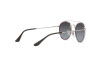 Sunglasses Ray-Ban RJ 9647S (290/8G)