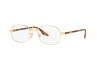 Occhiali da Vista Ray-Ban RX 3690V (2500) - RB 3690V 2500