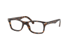 Eyeglasses Ray-Ban RX 5228 (2012) - RB 5228 2012
