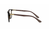 Eyeglasses Ray-Ban RX 7143 (2012) - RB 7143 2012