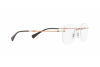 Lunettes de vue Ray-Ban RX 8748 (1131) - RB 8748 1131