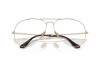 Eyeglasses Ray-Ban Aviator Titanium RX 8789 (1246) - RB 8789 1246