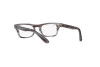 Eyeglasses Ray-Ban Burbank jr RY 9083V (3850)