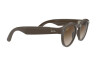 Солнцезащитные очки Ray-Ban Stories Round RW 4003 (656013)