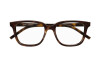 Eyeglasses Saint Laurent SL M110-002