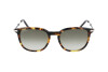 Sunglasses Salvatore Ferragamo SF1015S (219)