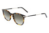 Lunettes de soleil Salvatore Ferragamo SF1015S (219)