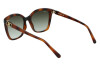 Sunglasses Salvatore Ferragamo SF1026S (214)