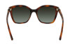 Sunglasses Salvatore Ferragamo SF1026S (214)