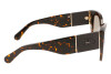 Lunettes de soleil Salvatore Ferragamo SF1045S (281)